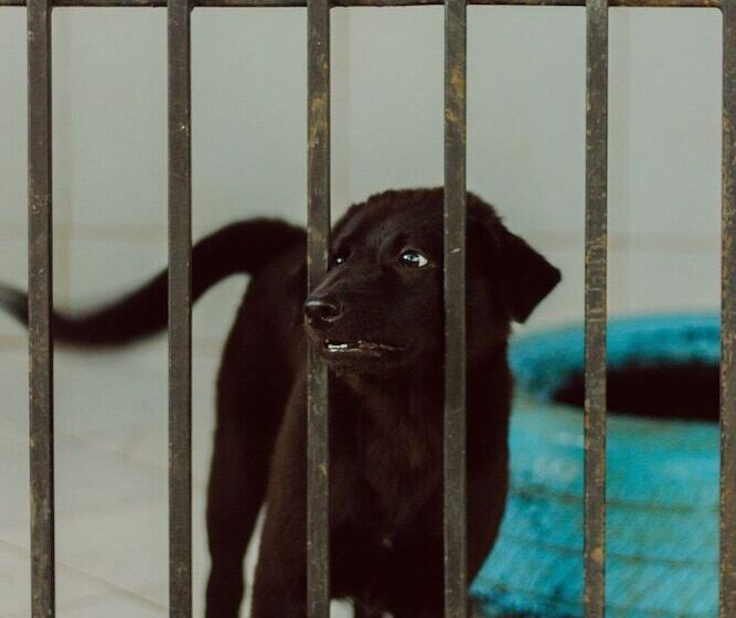 Hotel Urbanest Inn House Tb Simatupang