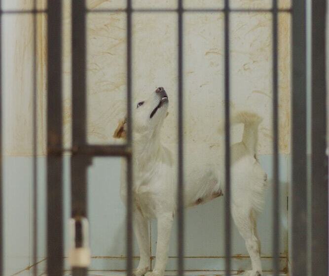 Hotel Urbanest Inn House Tb Simatupang