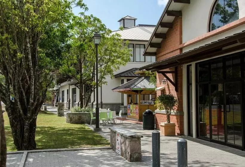 Paseo Suites