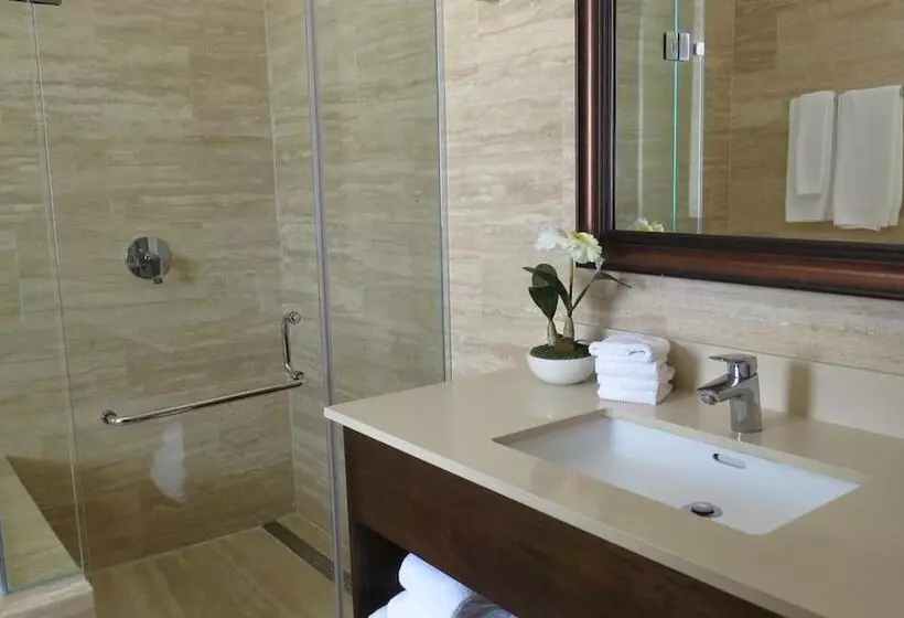 Paseo Suites