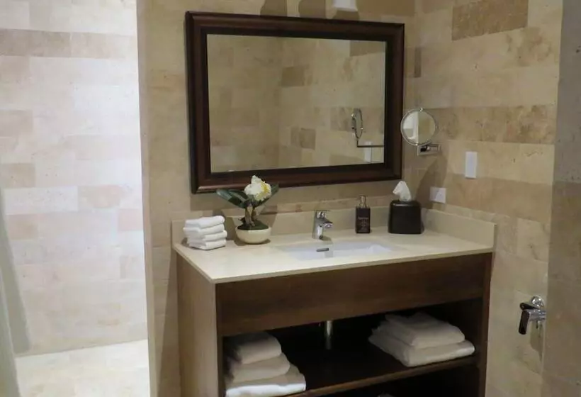 Paseo Suites