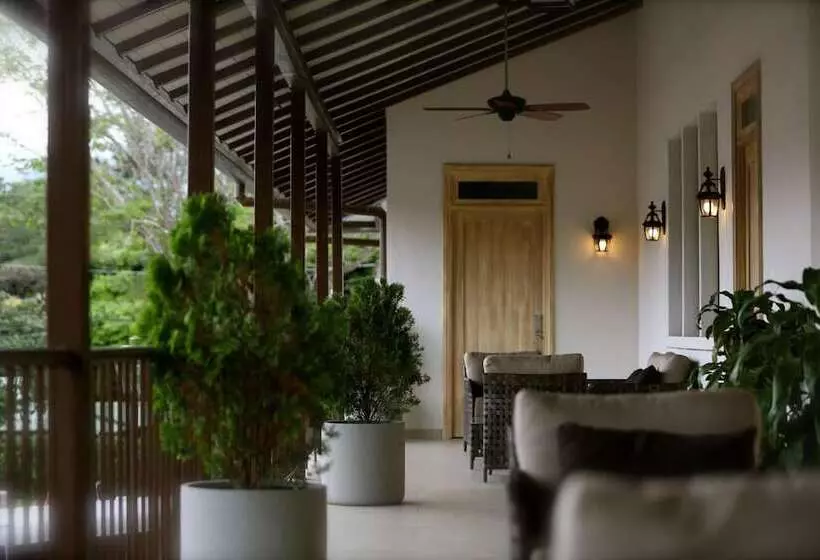 Paseo Suites