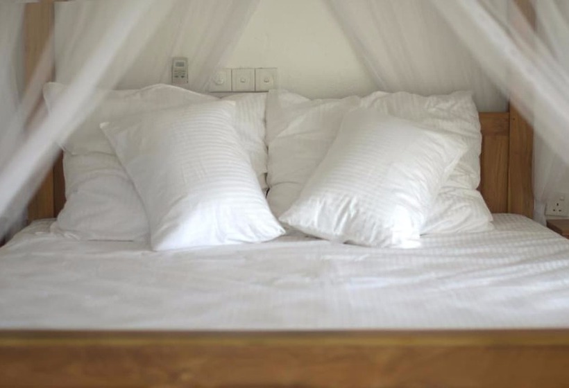 膳宿费 Agro Villa City Hub Colombo Airport