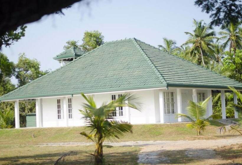 膳宿费 Agro Villa City Hub Colombo Airport