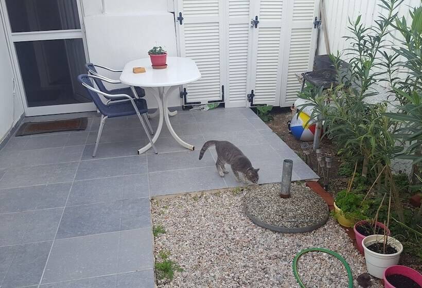 Pleasure Beachside Studios