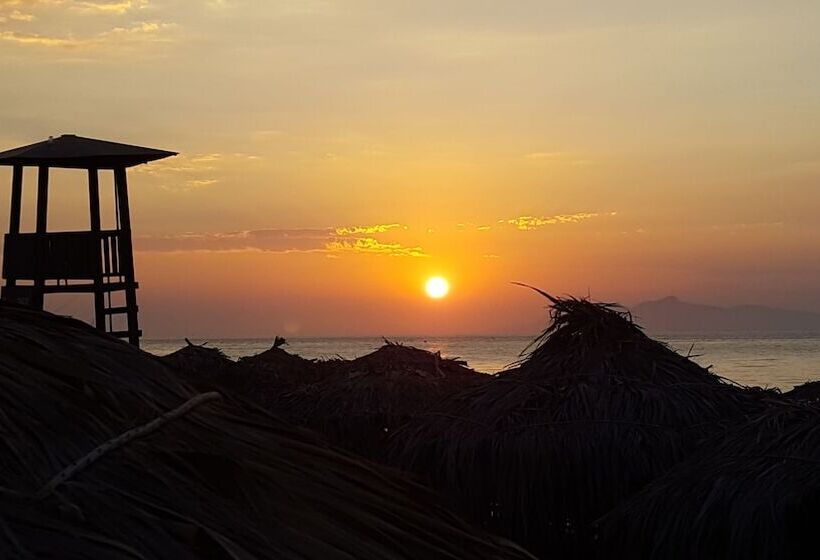 Pleasure Beachside Studios