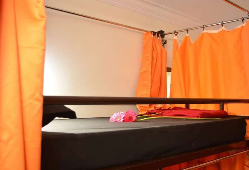 Social Rehab Downtown   Hostel