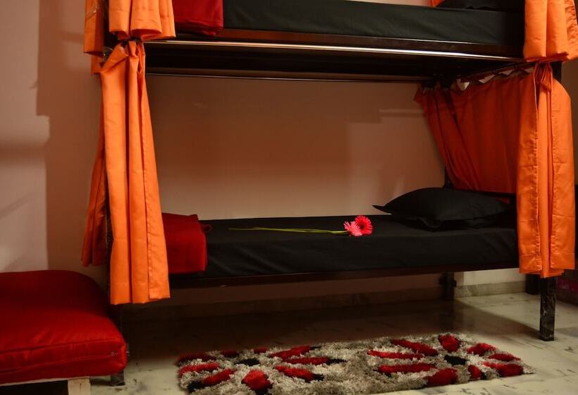 Social Rehab Downtown   Hostel