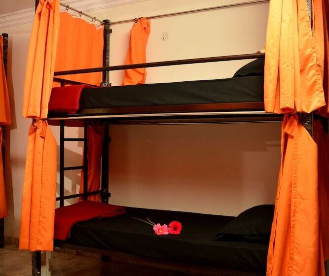 Social Rehab Downtown   Hostel