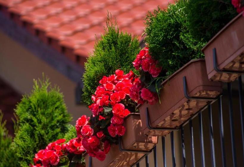 Villa Mare Apartamenty