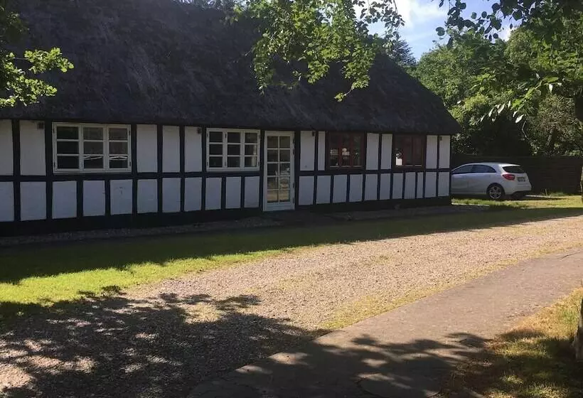 Hotelli Dancamps Trelde Naes