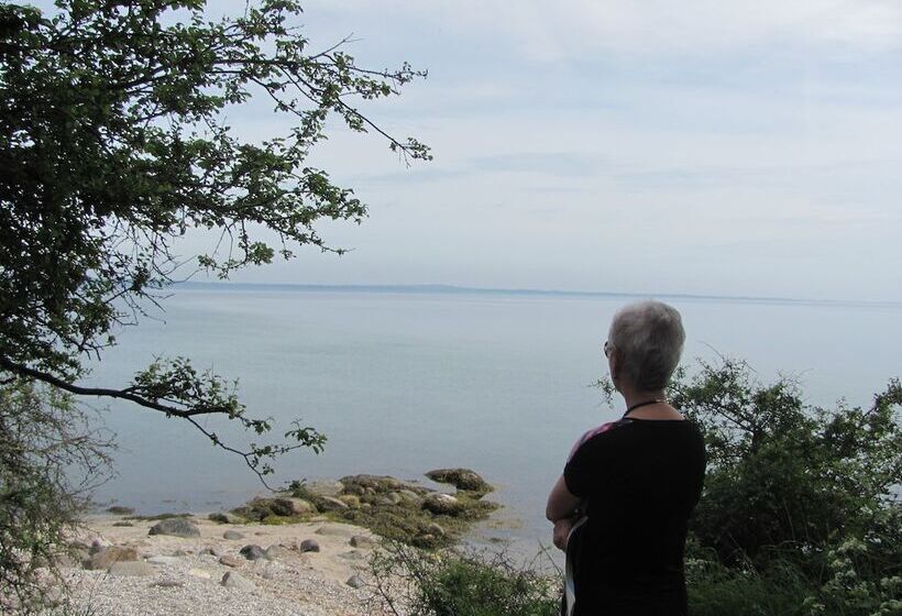 בית מלון כפרי Dancamps Trelde Naes