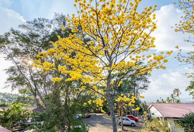 فندق Villa Margarita