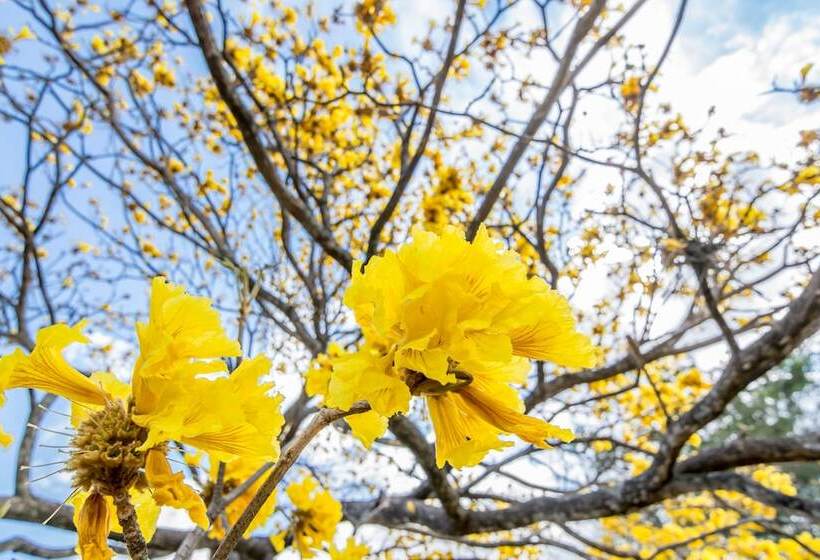 فندق Villa Margarita