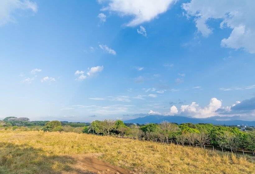 فندق Villa Margarita