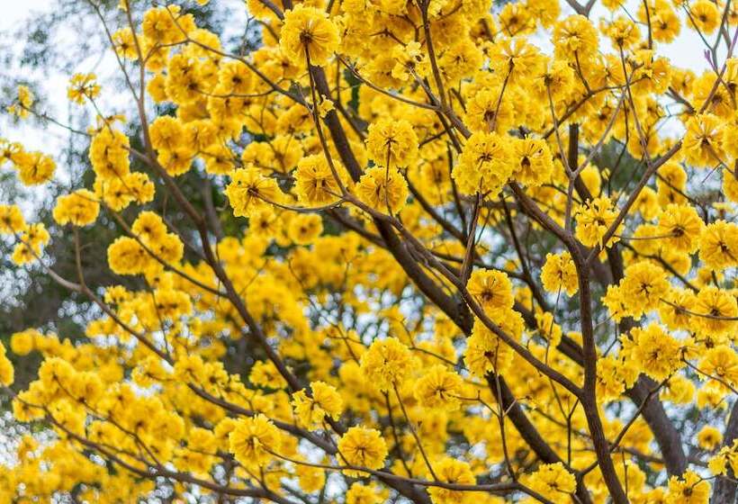 فندق Villa Margarita