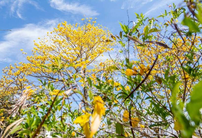 فندق Villa Margarita