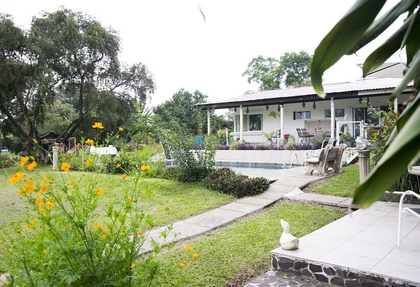 فندق Villa Margarita