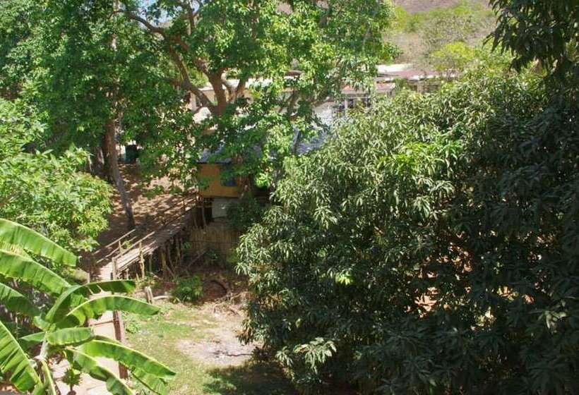 פנסיון Kopi Doki Guest Haus