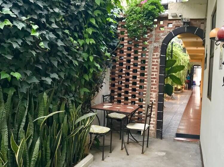 هاستل Hostal Antigua