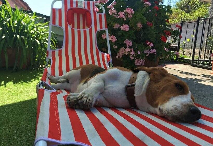 هاستل Hostal Antigua