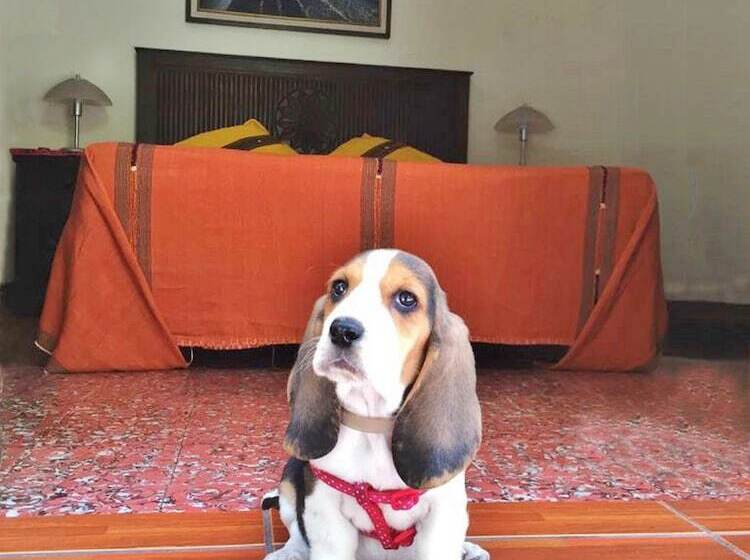 هاستل Hostal Antigua