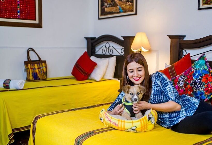 هاستل Hostal Antigua