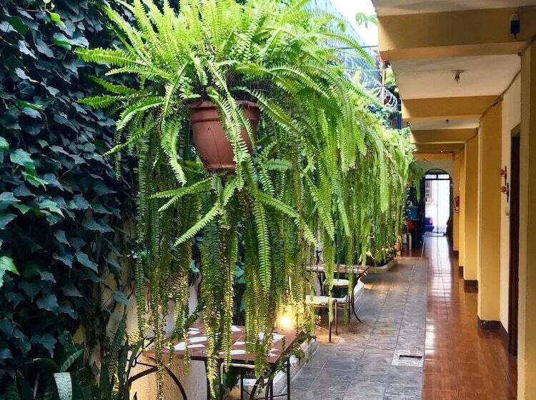 هاستل Hostal Antigua