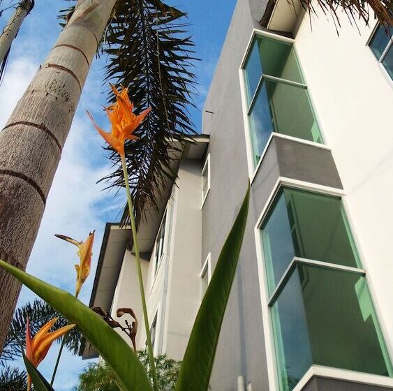 בית מלון כפרי Palm City Villa