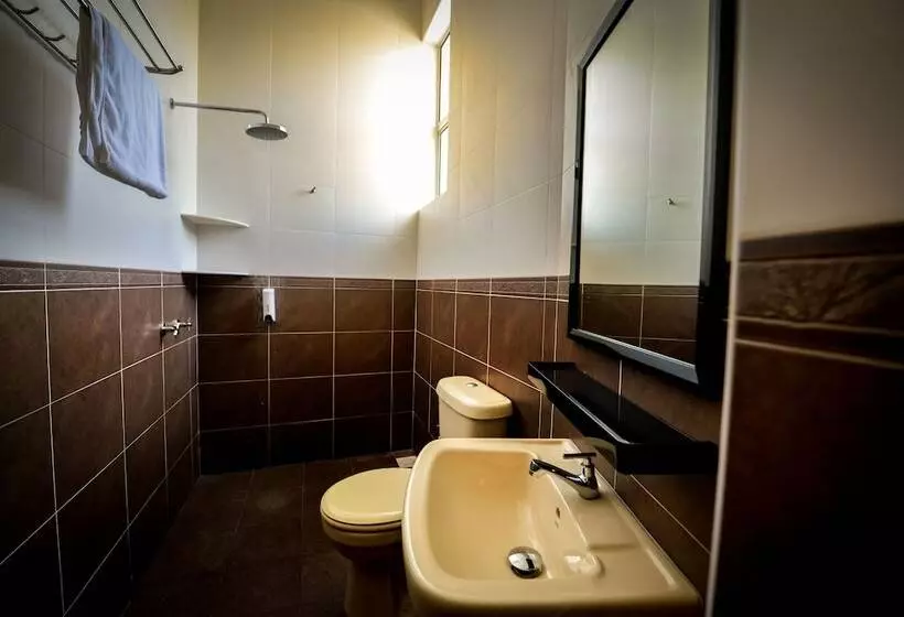 ホテル Palm City Villa