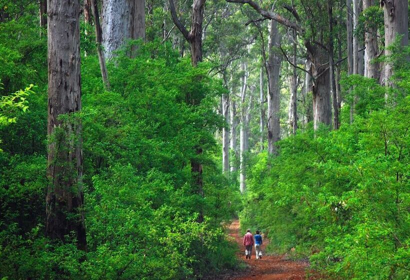 膳宿费 Wa Wilderness