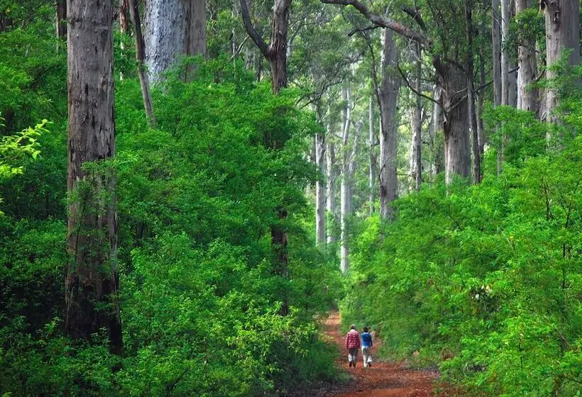 Majatalo Wa Wilderness