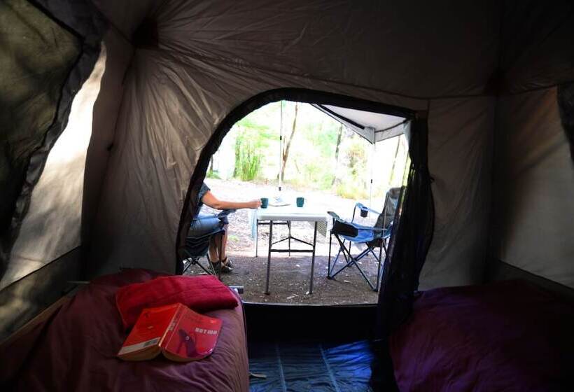 膳宿费 Wa Wilderness