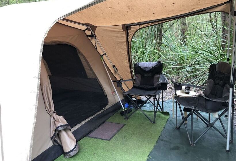 膳宿费 Wa Wilderness