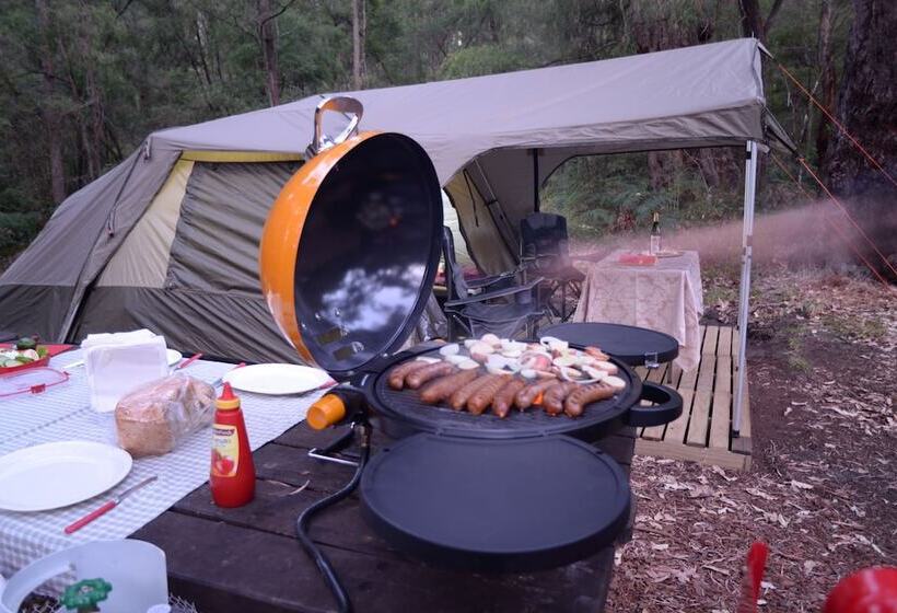 膳宿费 Wa Wilderness