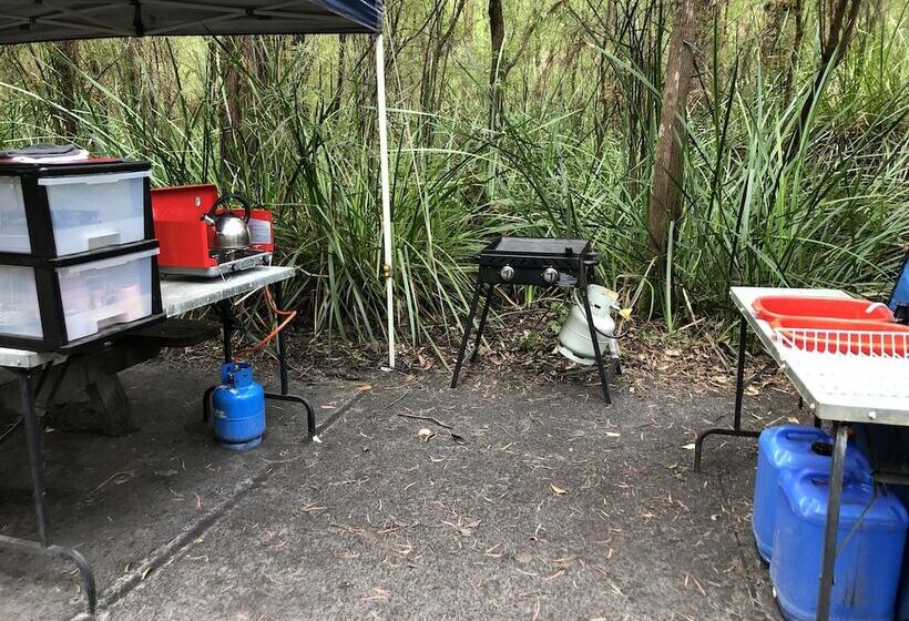 膳宿费 Wa Wilderness