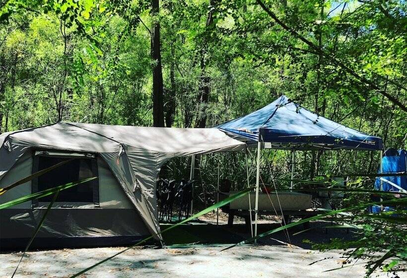 膳宿费 Wa Wilderness