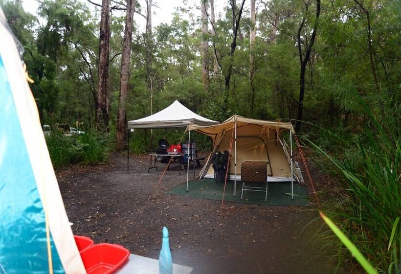 膳宿费 Wa Wilderness