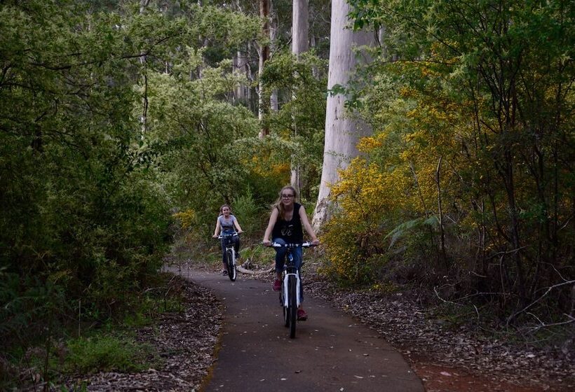 膳宿费 Wa Wilderness