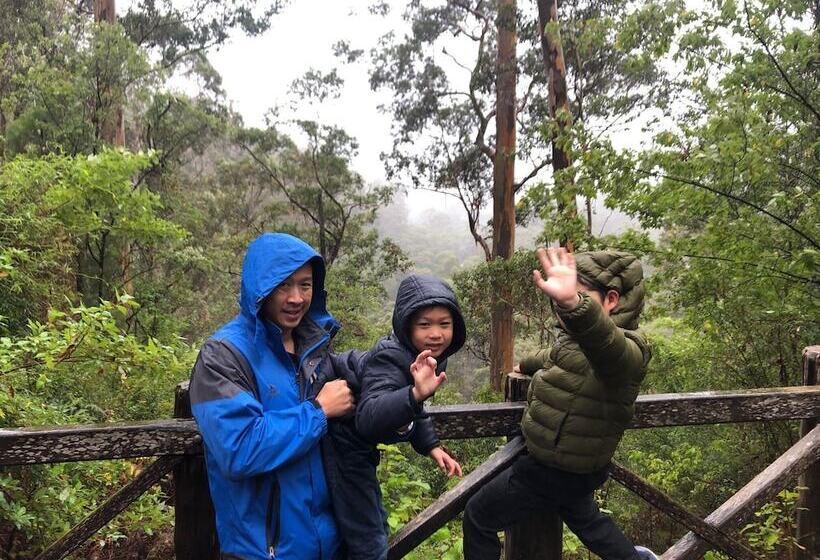 膳宿费 Wa Wilderness