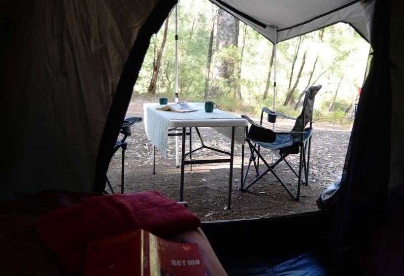 膳宿费 Wa Wilderness