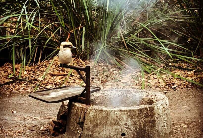 膳宿费 Wa Wilderness