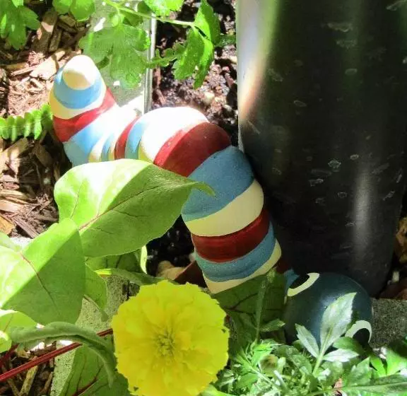 Sunlit Waters Studio Apartments