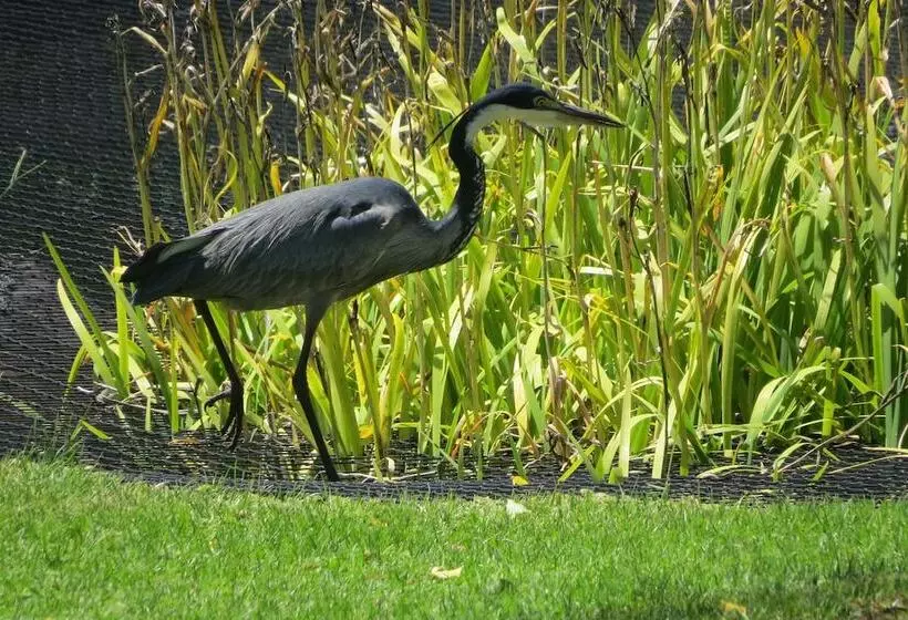 ベッドアンドブレックファースト Country Comfort