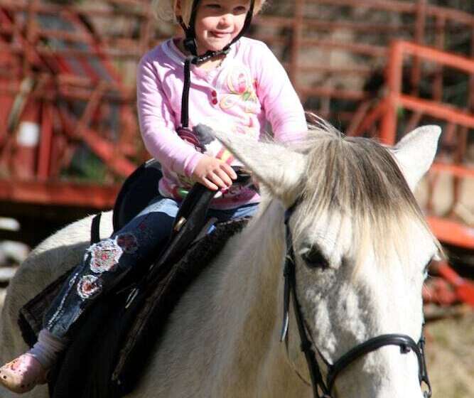 בית מלון כפרי Sani Valley Nature Lodges