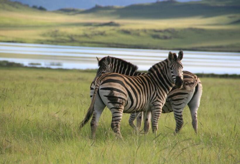 בית מלון כפרי Sani Valley Nature Lodges