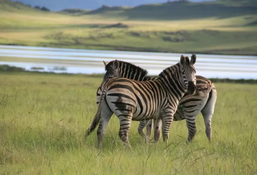 Hotelli Sani Valley Nature Lodges