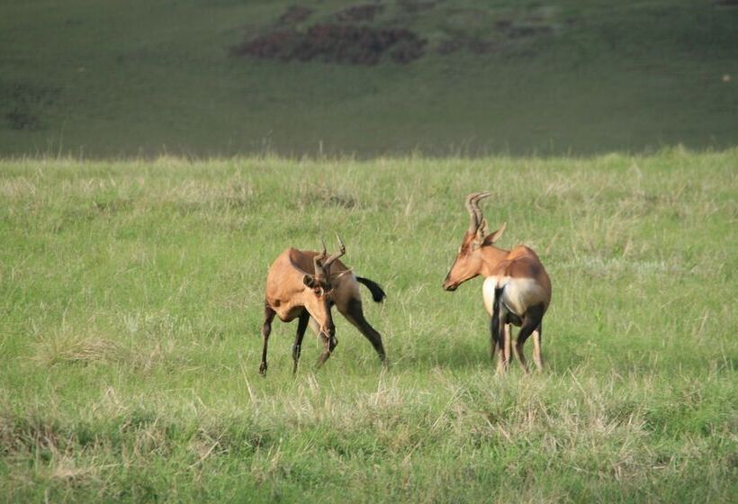 בית מלון כפרי Sani Valley Nature Lodges