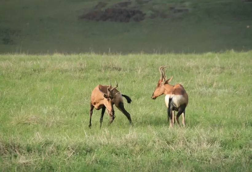 Hotelli Sani Valley Nature Lodges