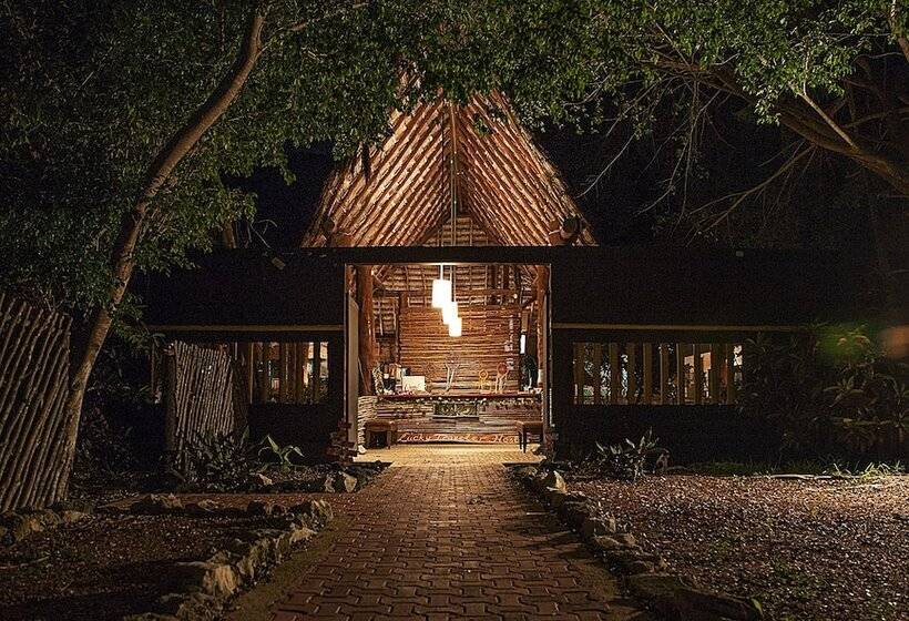 Lucky Traveler Hostel